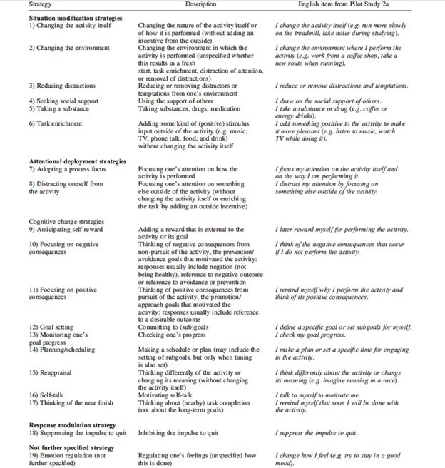 SelfControStrat esv