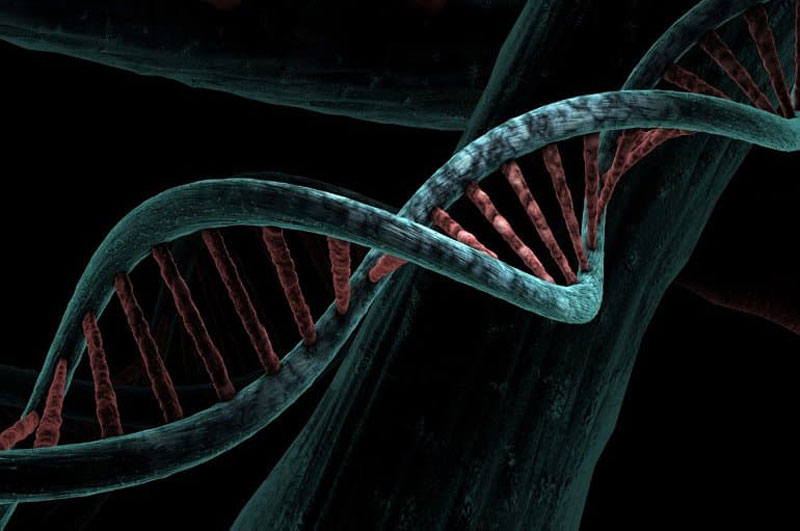 εικόνα του dna στα κύτταρα