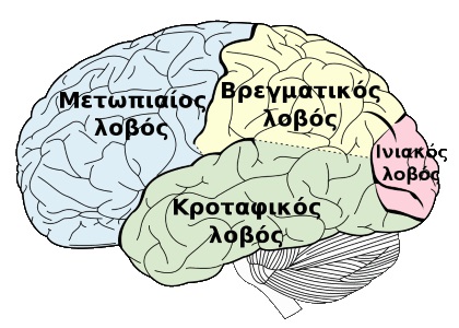 HumMem 1V