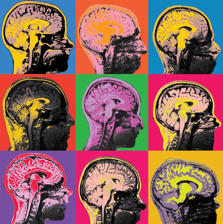 neuroscience2
