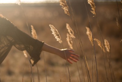 γυναίκα στην εξοχή ακουμπάει με το χέρι της στάχυα