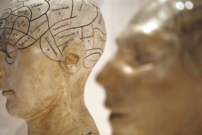κεφάλια από ανθρώπινες κούκλες που έχουν σχηματίσει με στυλό πεδία στον εγκέφαλο