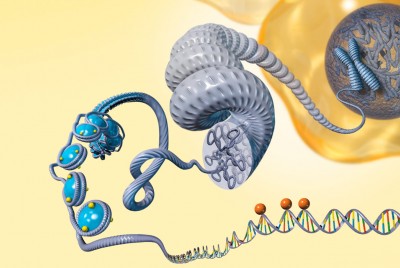 dna μετατρέπεται σε γονίδια