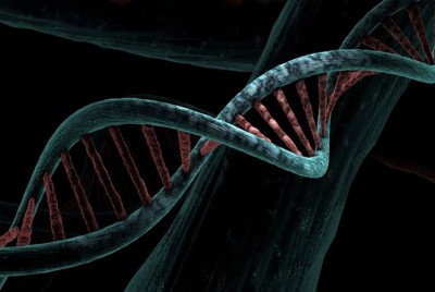 εικόνα του dna στα κύτταρα
