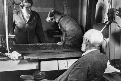 ο Ivan Pavlov διεξάγει το πείραμα της κλασικής εξαρτημένης μάθησης