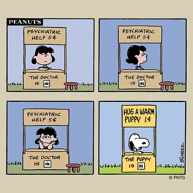 hug a puppy