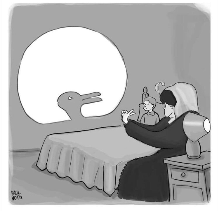 illusions