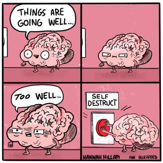 self destru