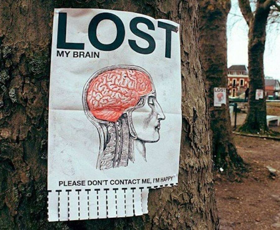 brain lost
