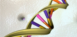 εικόνα της διπλής έλικας dna