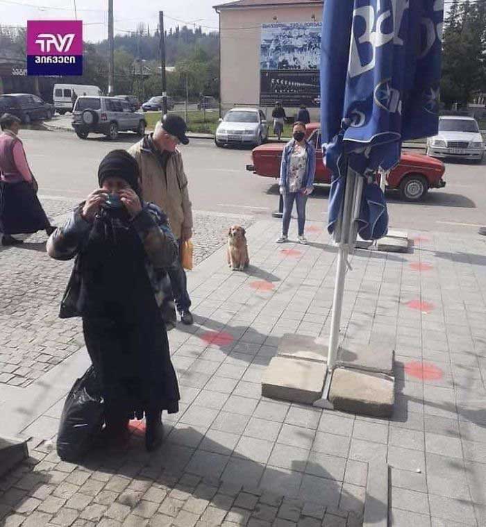 ZwaKoinwnApostas 7