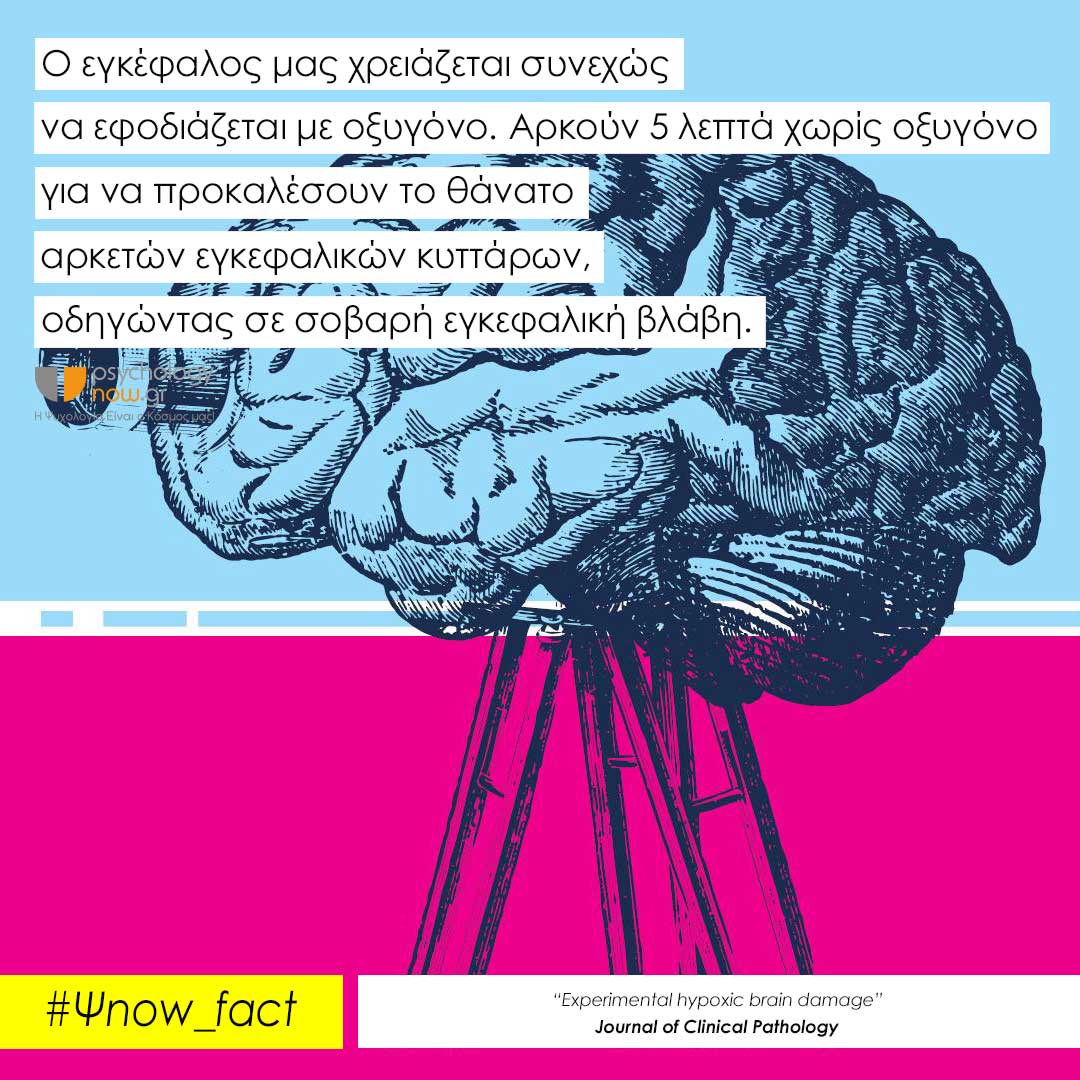 PsFact BrainOxygen